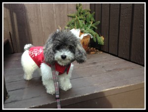 Can't wait to see my fans and friends in town!