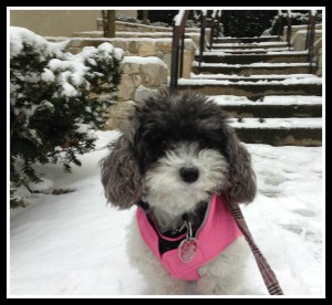 Intrepid reporter always looking for a story to report