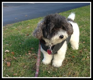 Always looking for a story