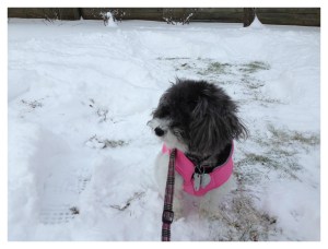 Always great to have a good neighbor!