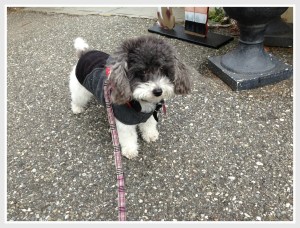 Looking for my next story for my readers.