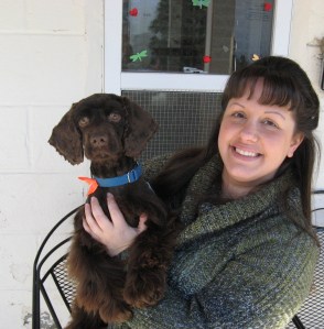 Joe, a Cocker Spaniel who was lost and brought in from Mount Kisco by a good Samaritan, gets lots of TLC from Lisa Bonnano-Spence, Development Manager at SPCA of Westchester in Briarcliff Manor