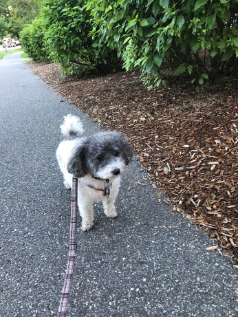 GAauN1JyQNit0m56hs+05Q