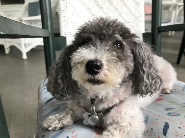 lhydnkeWRrCxEMK4c+q2Hg