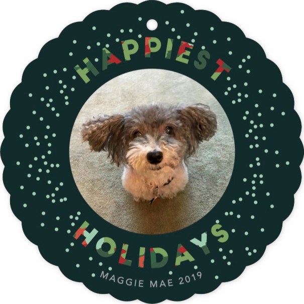 holiday card proof 2019 PHOTO